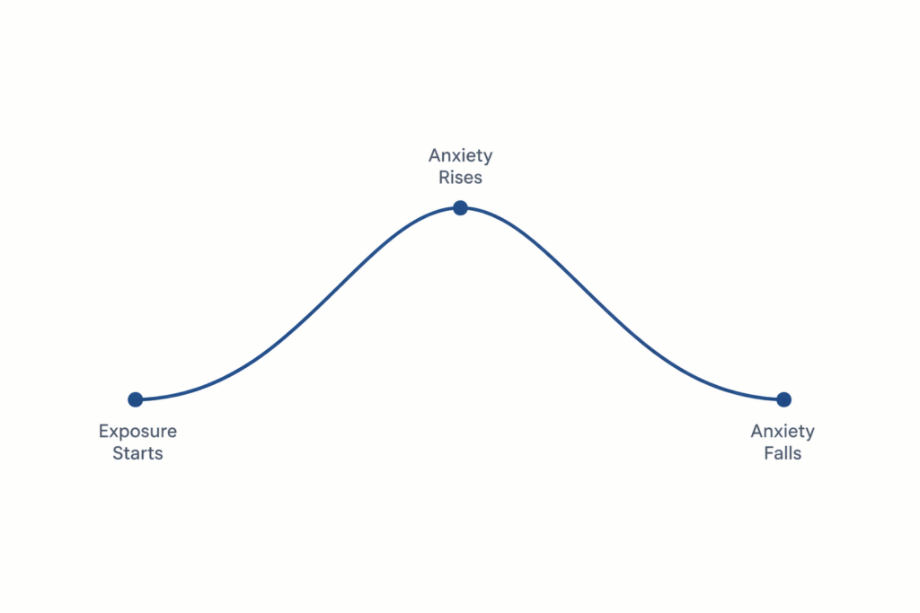 "An abstract wave or curve representing the natural rise and fall of anxiety during ERP therapy for OCD, without the compulsion"