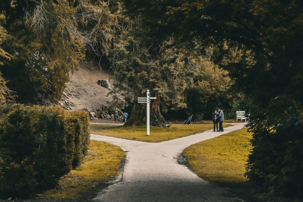 Two paths diverging through a natural landscape, representing the distinct treatment approaches for health anxiety and OCD