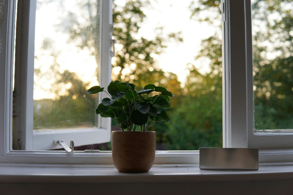 An open window looking out onto morning light and greenery, representing the restoration of ordinary, unrestricted daily life that CBT for panic disorder makes possible